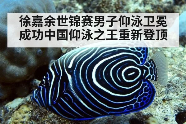 徐嘉余世锦赛男子仰泳卫冕成功中国仰泳之王重新登顶